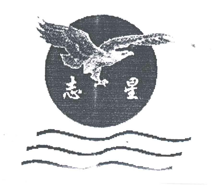 志星