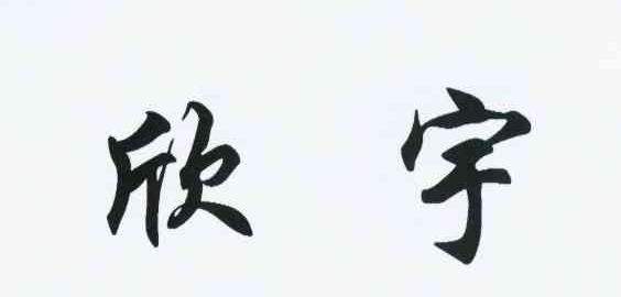 欣宇