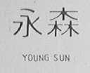 永森    YOUNG SUN