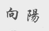 向阳