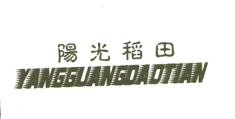 阳光稻田