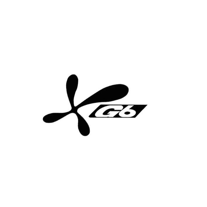 G 6