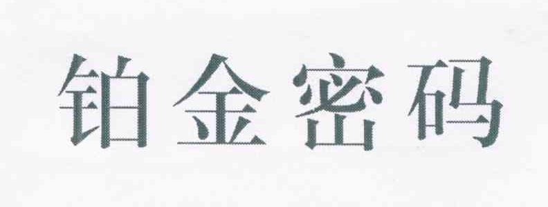 铂金密码