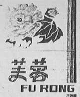 芙蓉