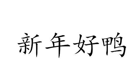 新年好鸭