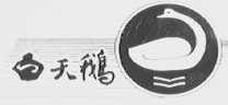 白天鹅