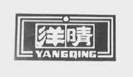 洋晴