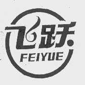 飞跃