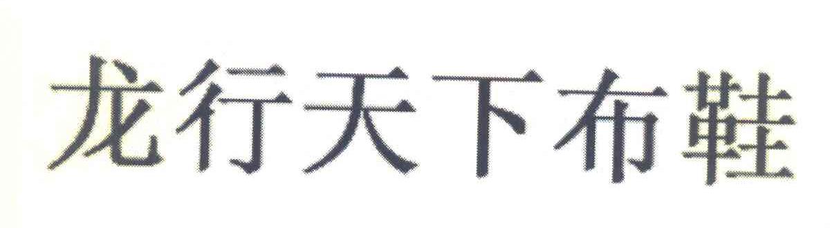 龙行天下布鞋