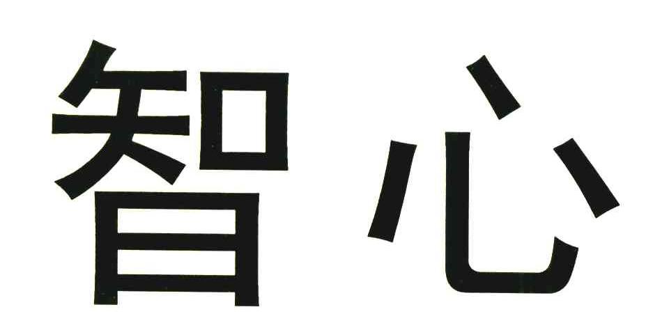 智心