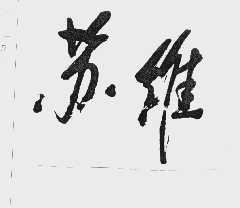 苏维