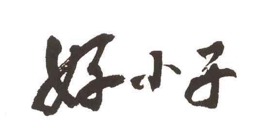 好小子