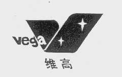 维高   VEGA