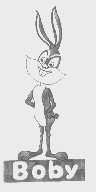 BOBY