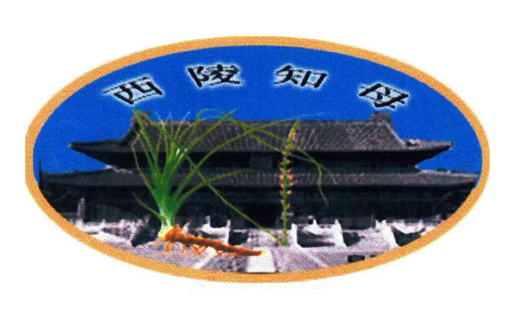西陵知母