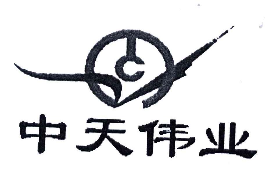 中天伟业