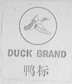 鸭    DUCK