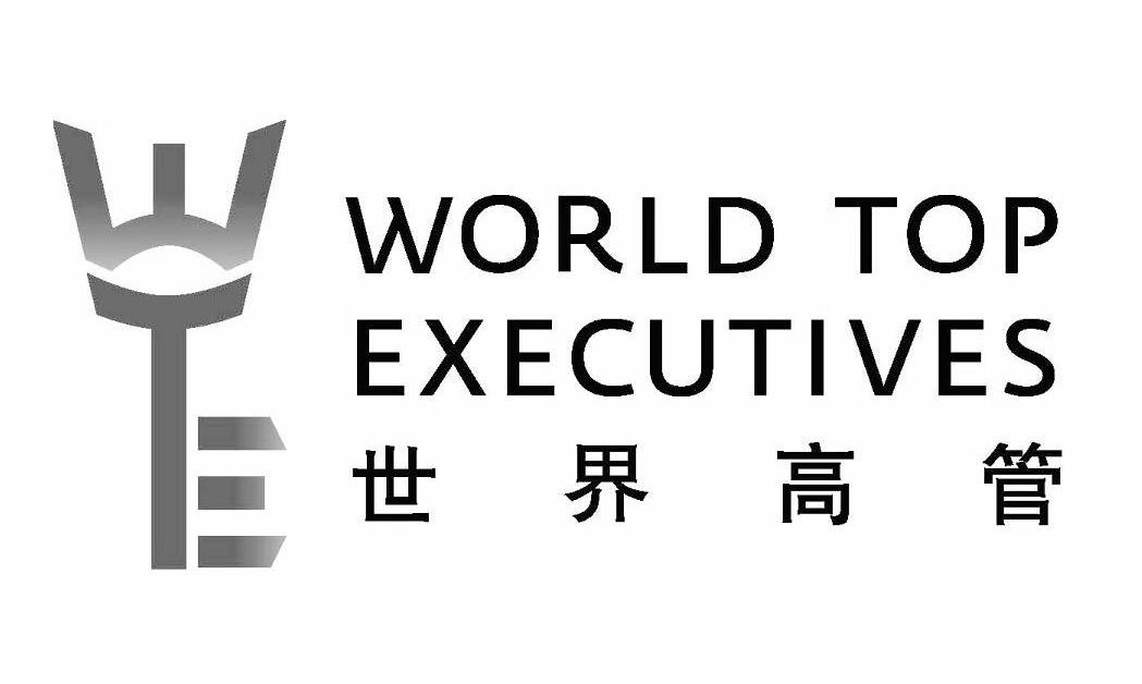世界高管 WORLD TOP EXECUTIVES WTE