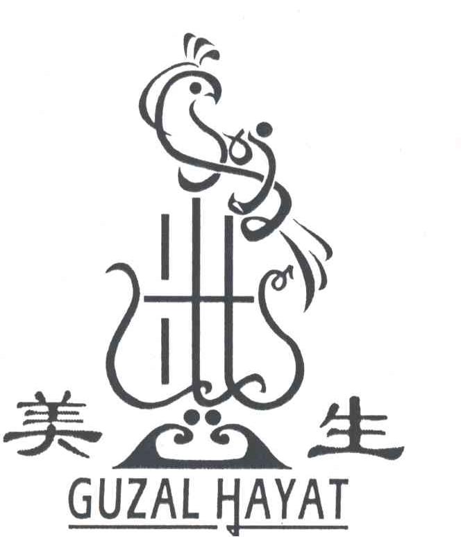 美生;GUZAL HAYAT