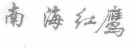 南海红鹰