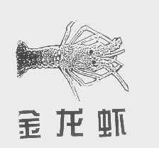 金龙虾