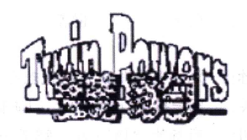 双豹;TWIN POWERS
