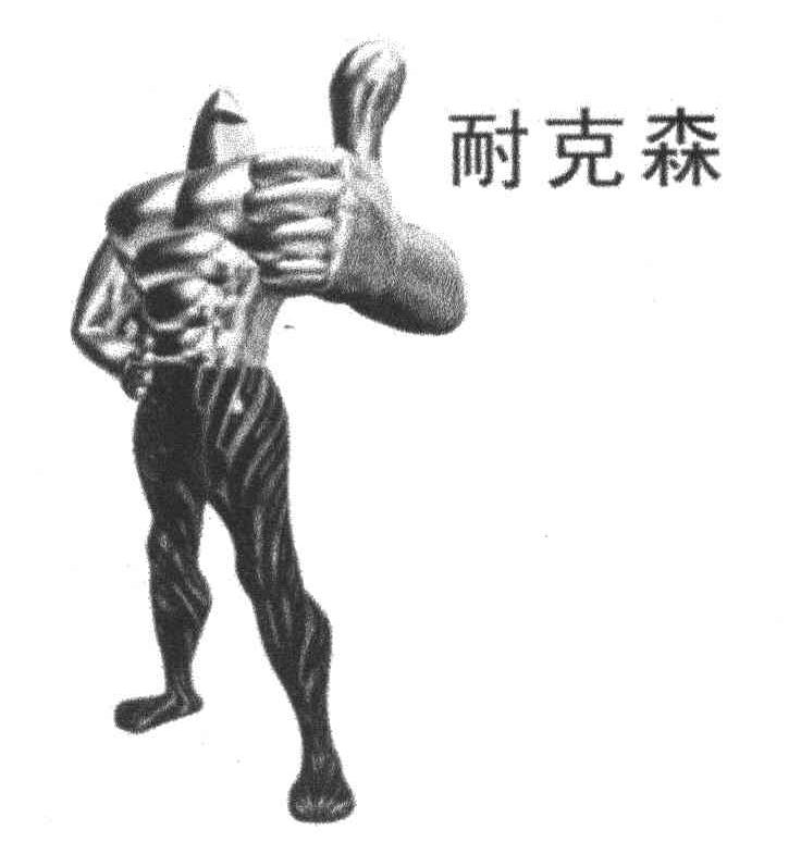 耐克森