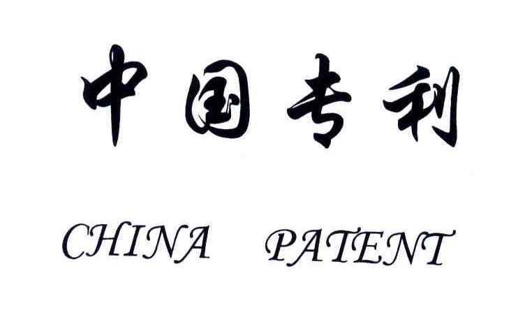 中国专利;CHINA PATENT