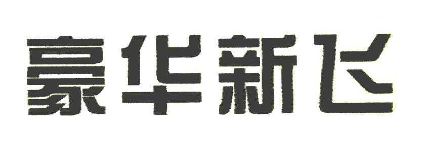 豪华新飞