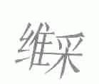 维采
