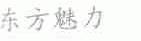 东方魅力