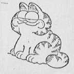 GARFIELD PICTURE