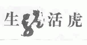 生龙活虎