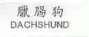 腊肠狗;DACHSHUND