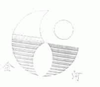 金河