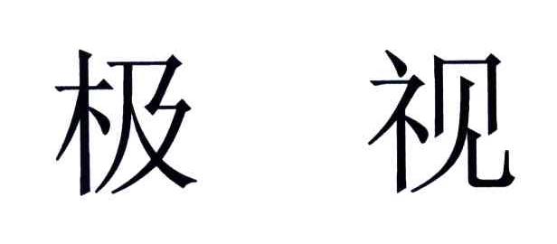 极视