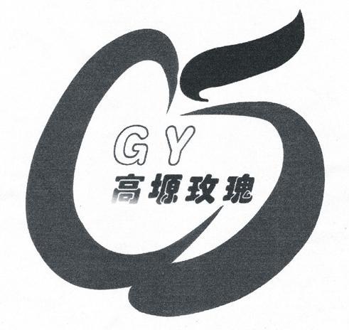高塬玫瑰 GY