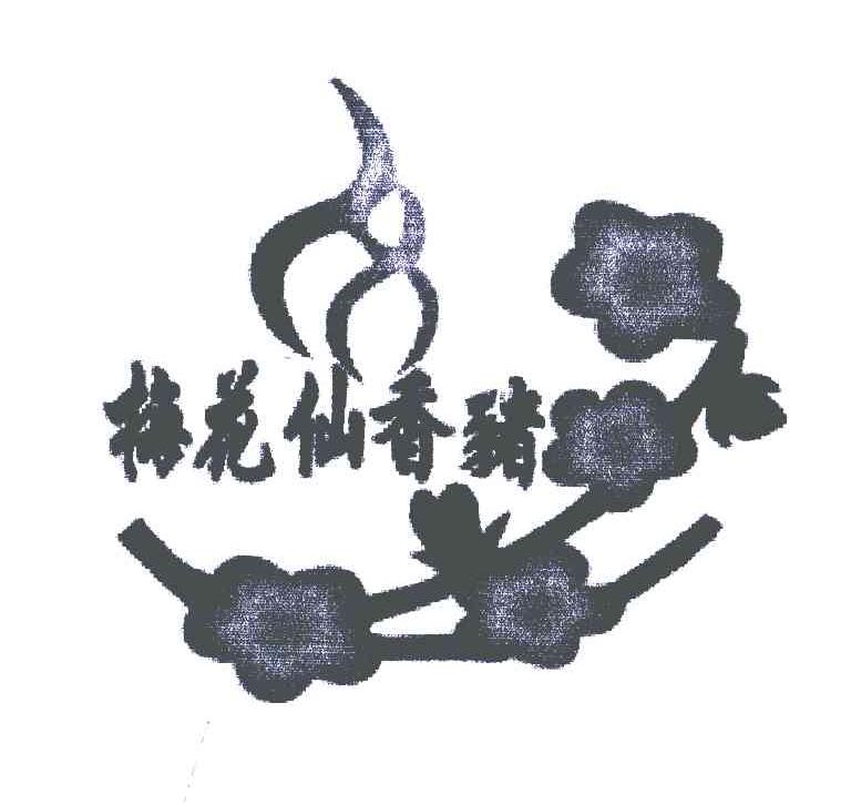 梅花仙香猪