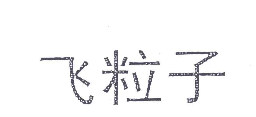 飞粒子