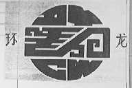 环龙