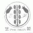 芝花