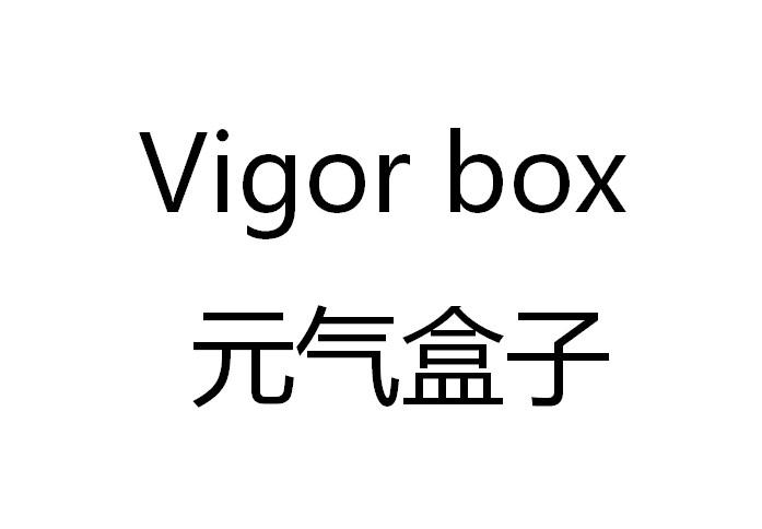 元气盒子 VIGOR BOX