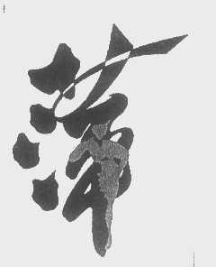 萍
