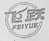 飞跃