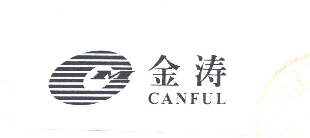 金涛;CAXNFEL