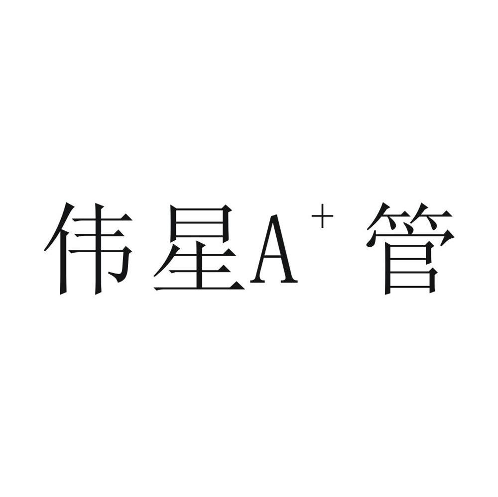伟星A+ 管