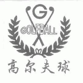 高尔夫球;GOLFBALL
