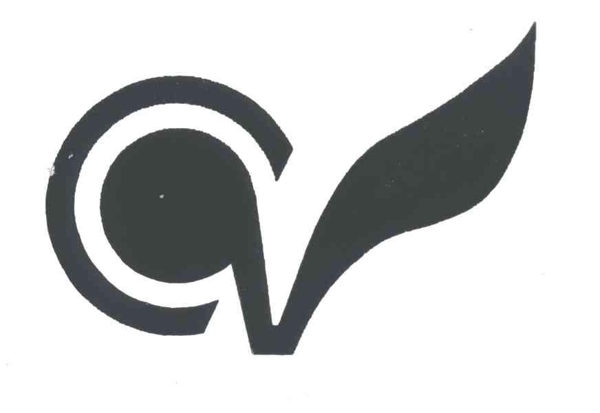 CV