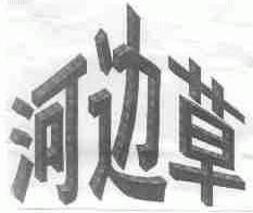 河边草