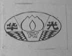 华光